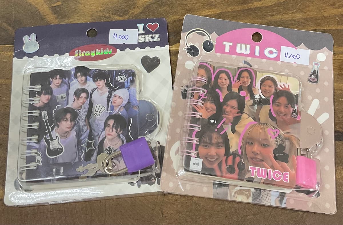 Mini Diarios De Vida