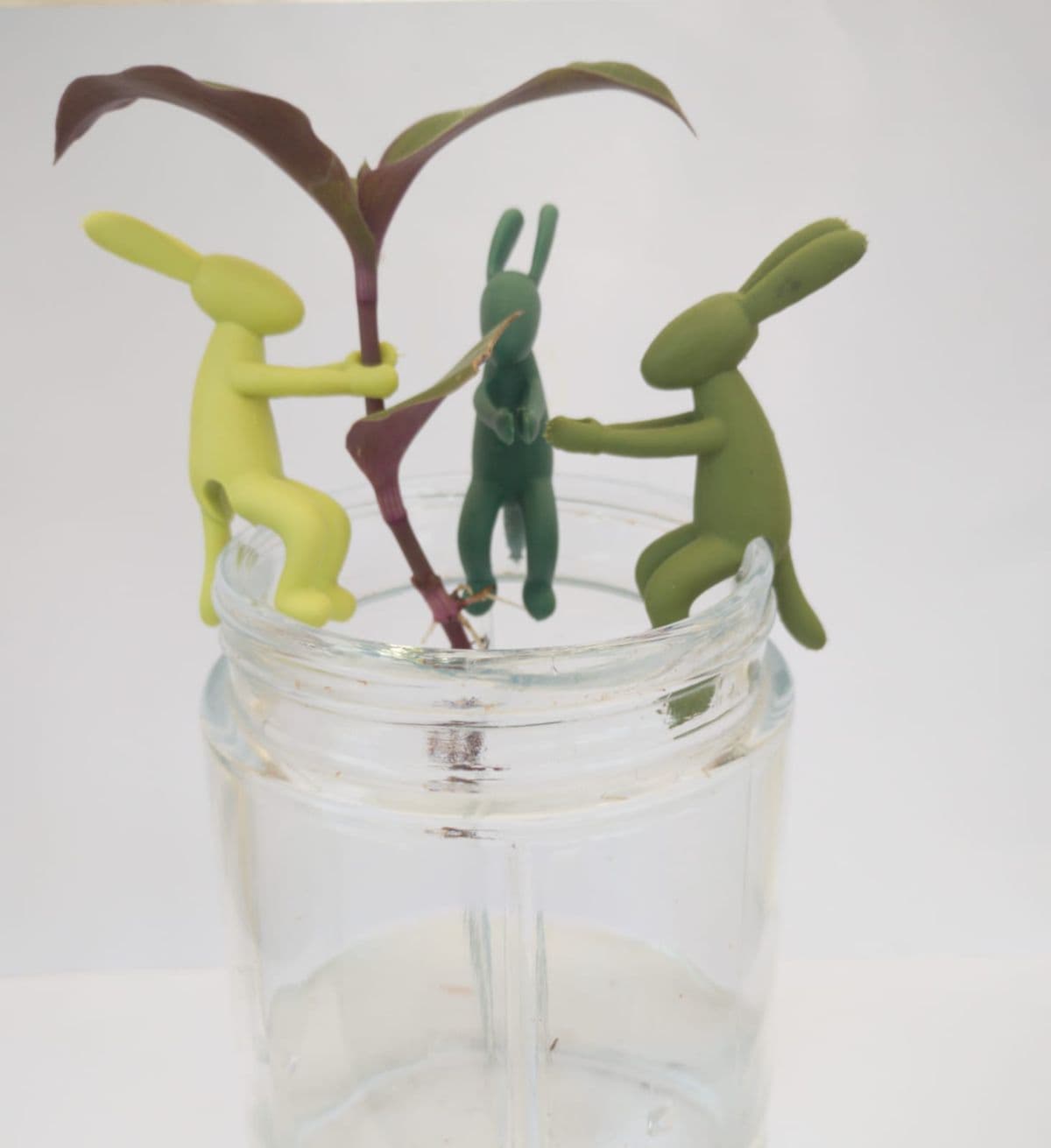 Soporte  porta esqueje conejo