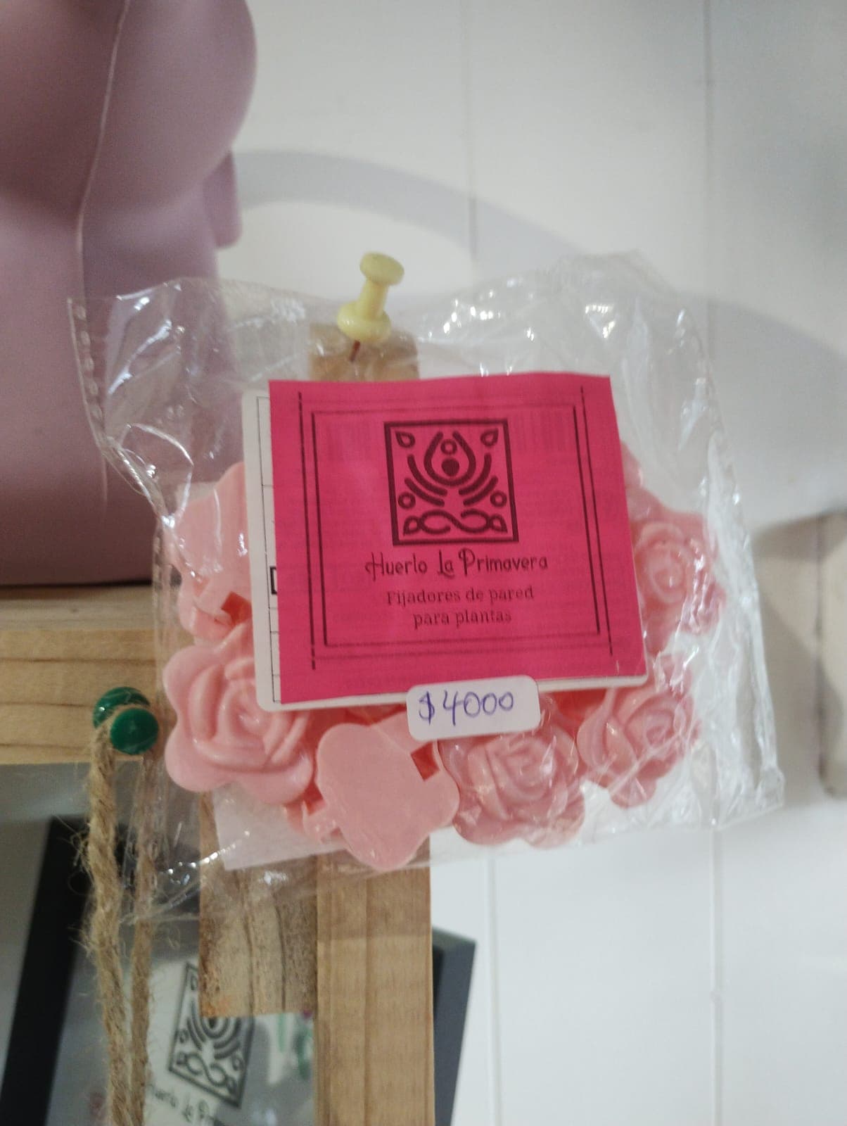 Fijador plantas pared