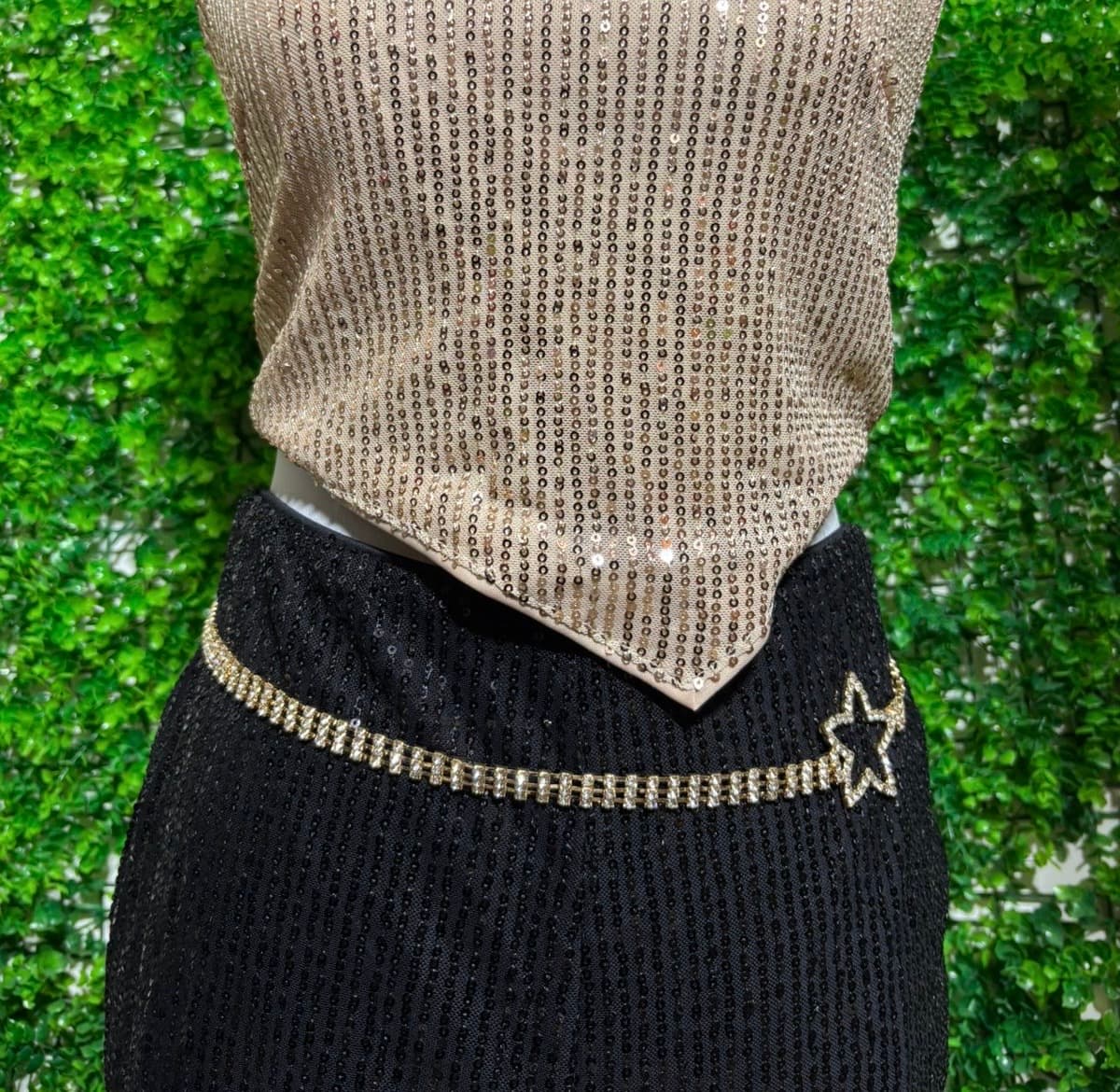 Cinturón Estrella Dorado