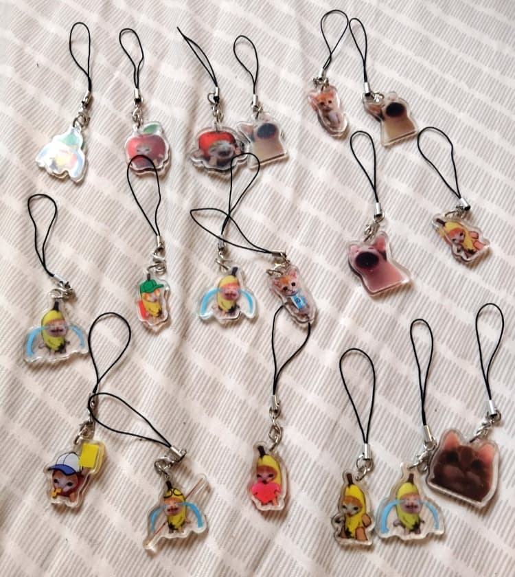 Accesorios para celular gato HAPPY PAPPY