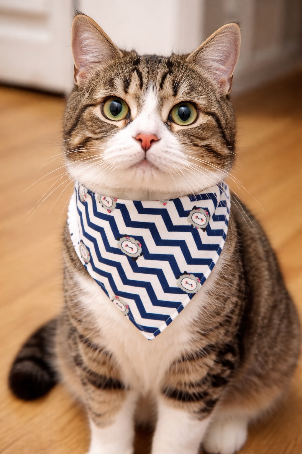 Bandana Ovejas 