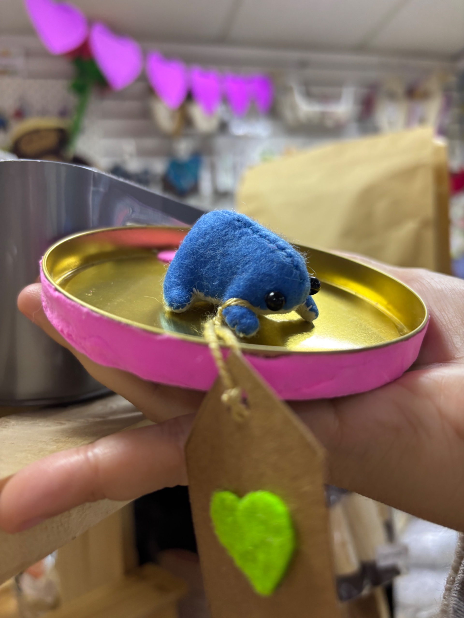 Rana imán azul