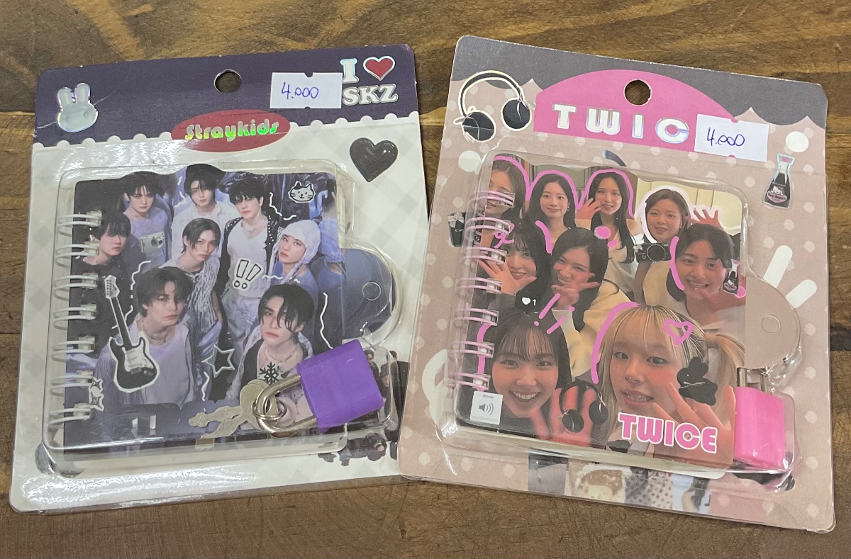 Mini Diarios De Vida 1