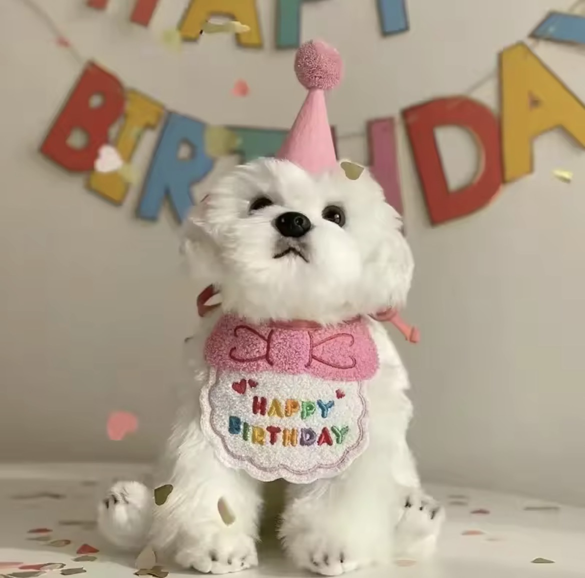 Vestuario Cumpleaños Rosa