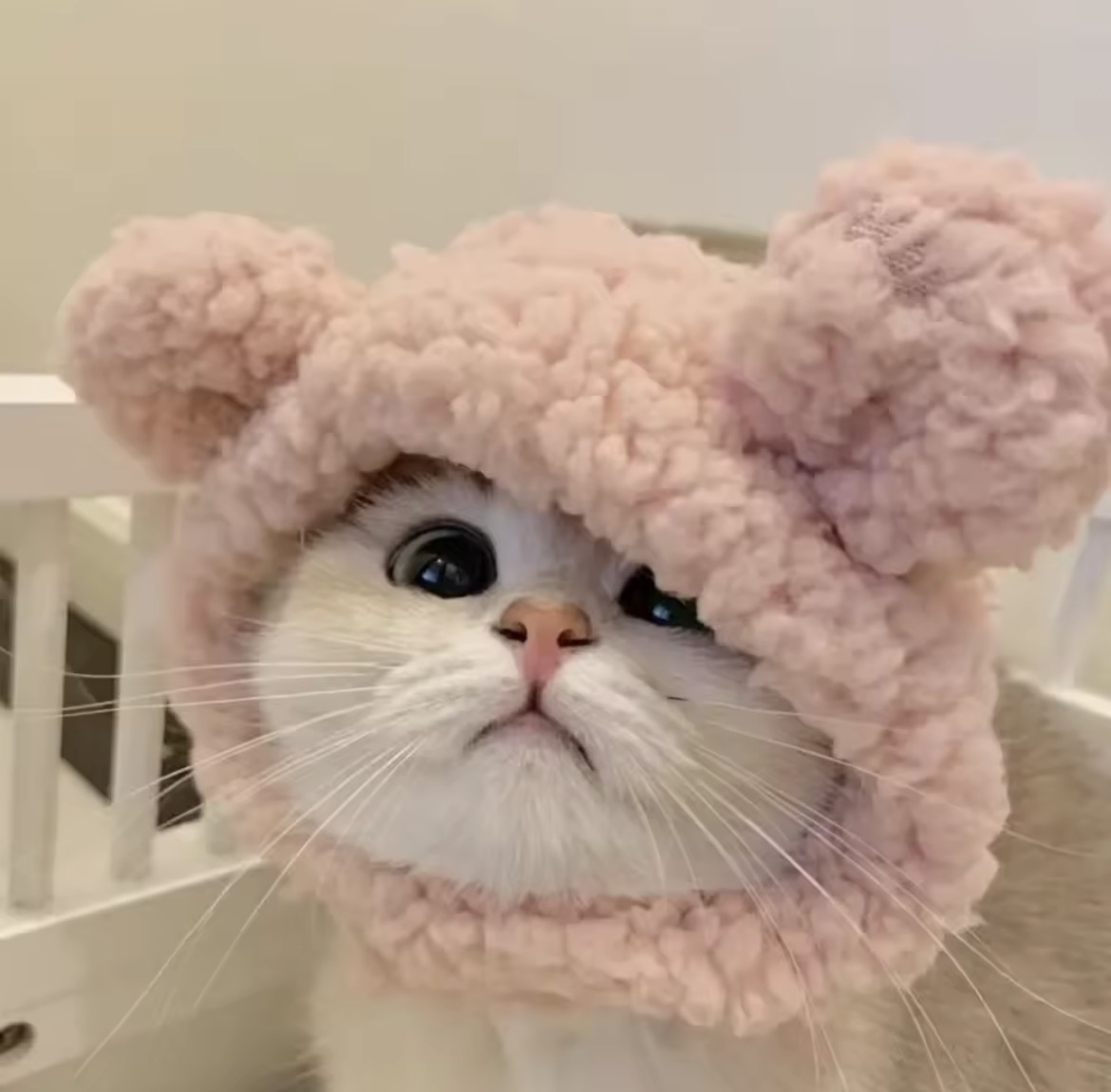Gorrito Orejitas Rosa