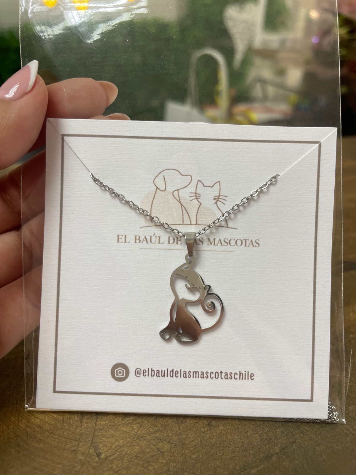 Collar gatito plateado  1