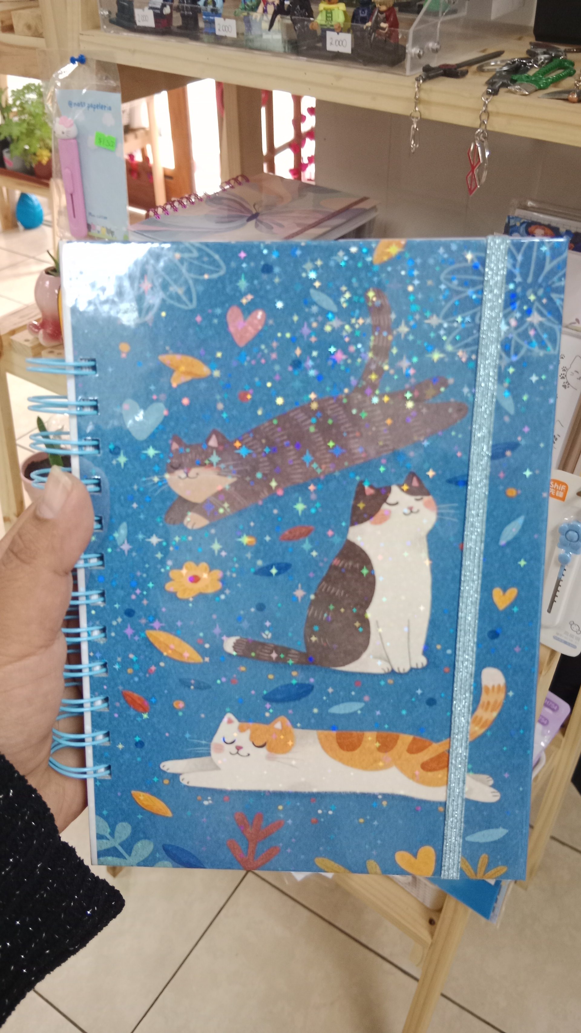 Cuaderno gatitos