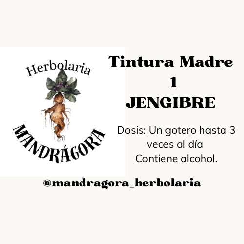 Tintura Madre de Jengibre 1